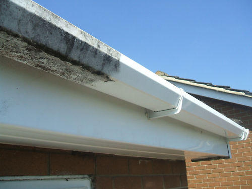 Gutter cleaning